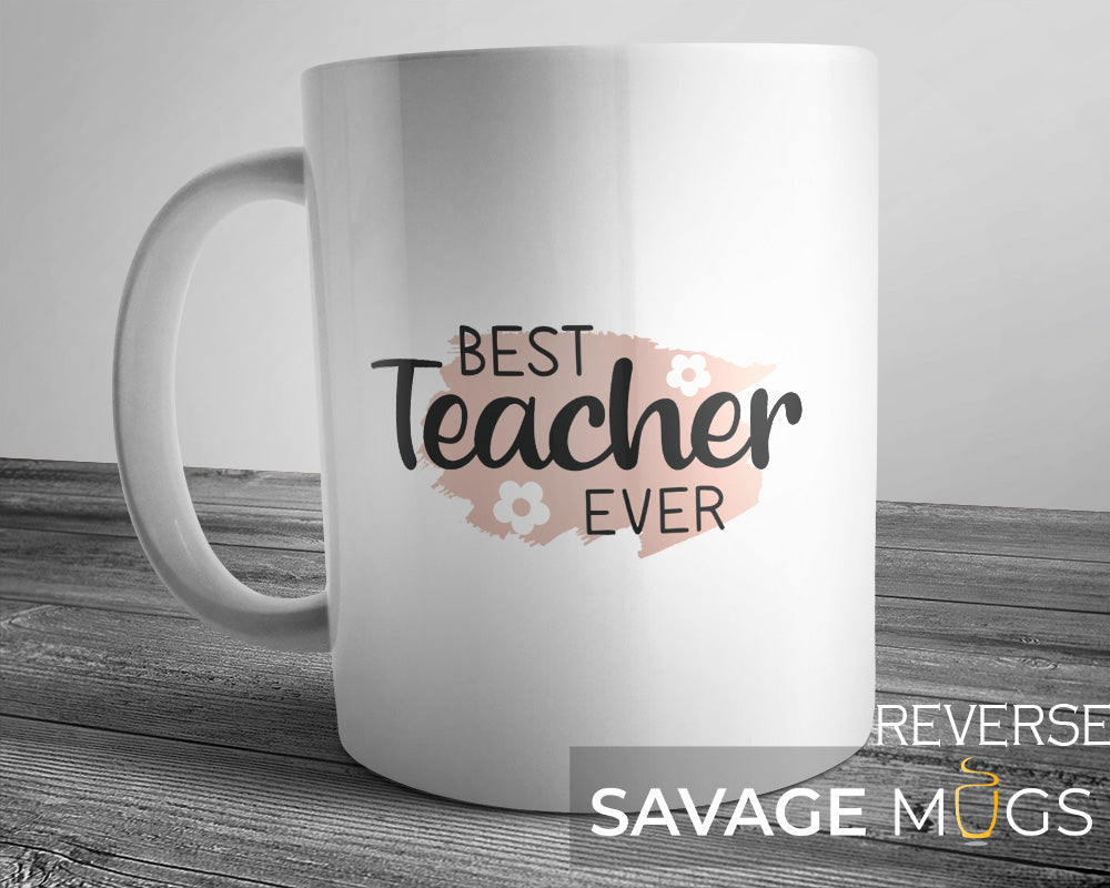 Best Teacher Ever Mug