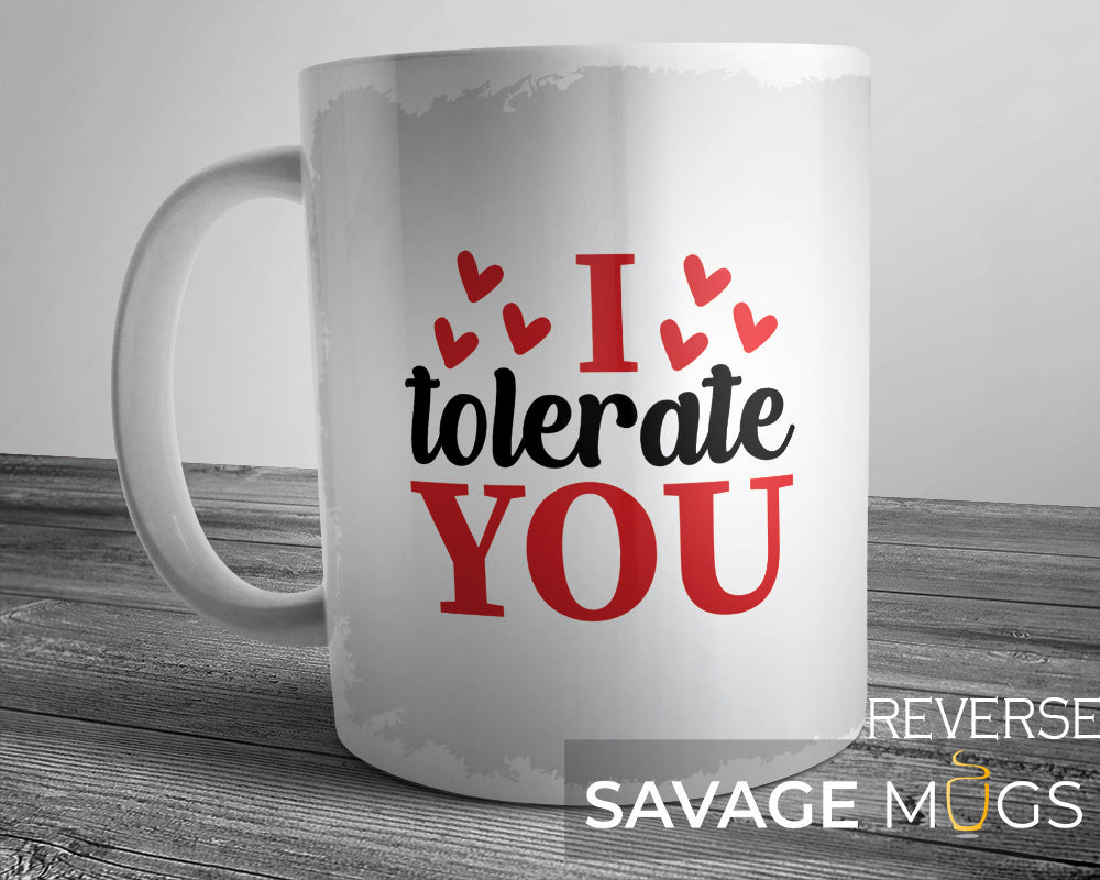 I Tolerate You Mug